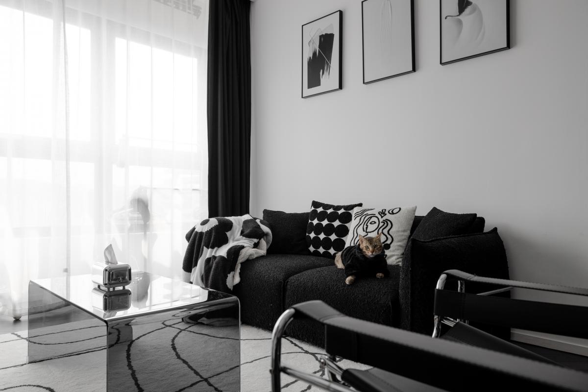 Monochrome Marvel, Modern